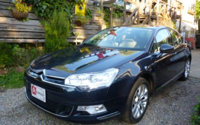 新入庫のお知らせ