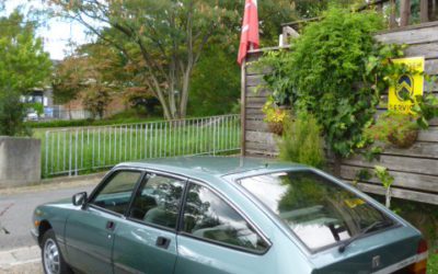 ブログ・・長く続いてます　プレゼント