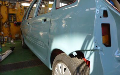 クサラピカソが　塗れました！