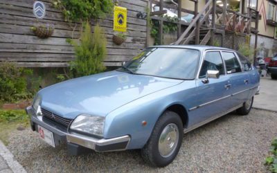 新入庫のお知らせ