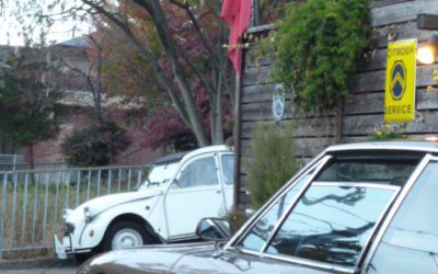 ご来店ありがとうございます