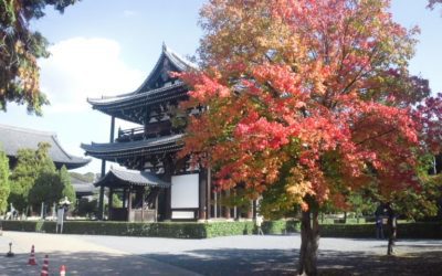 おはようございます