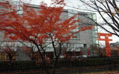 定休日でしたが