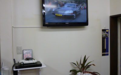 今日のスタート