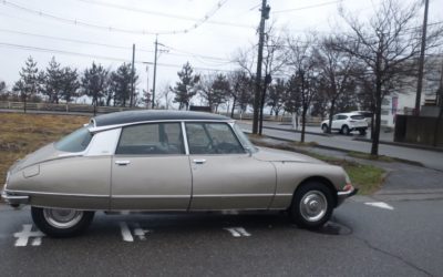 昨日の雪&成人式