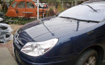 今日の夢見移動