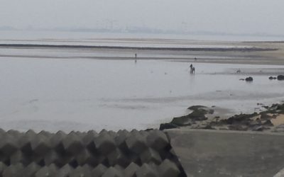 土曜日ありがとうございます