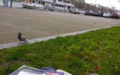 ジャベル　岸にて・・・さよならパリ