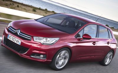 頑張ってます？