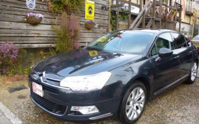 新入庫のお知らせ