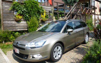 新入庫予定のおしらせ