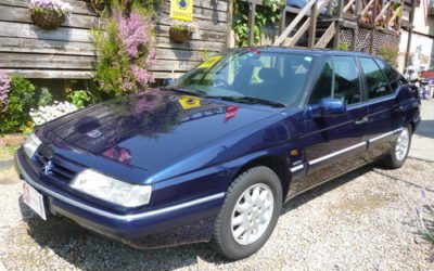 新入庫のお知らせ