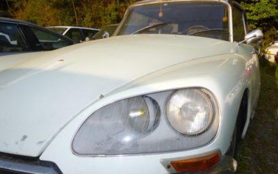 今日のご来店・・マッハⅢ