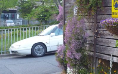 祝！！サーバー解消・・懐かしき再会