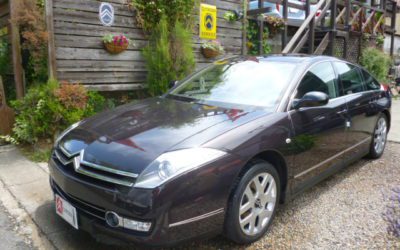 新入庫のお知らせ