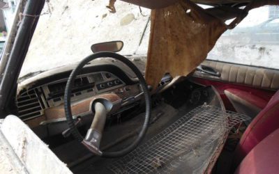 オランダからの便り