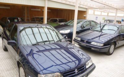 静かな雨の日＆Ｃ６入荷