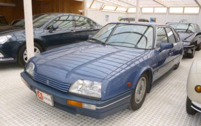 新入庫のお知らせ