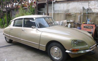 新入庫のお知らせ