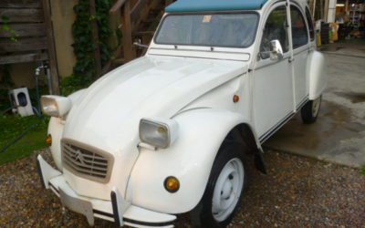 新入古？のお知らせ？？