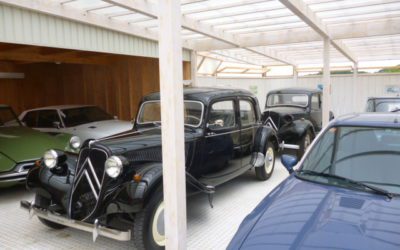 朝から　大移動