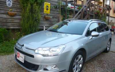 新入庫のお知らせ