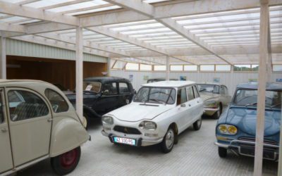 昨日もありがとうございました