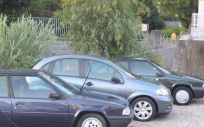 土曜日ありがとうございます