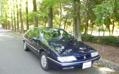 クローズアップ　Ｘｍ