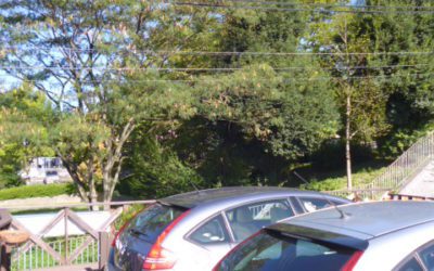 今日も清清しい　朝歩き