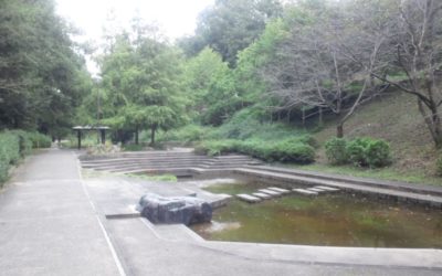 色々思うこと　ランダム・・