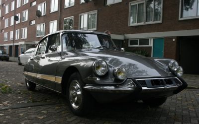 ＤＳ１９の　ご紹介