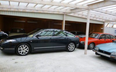 今日は朝から雨