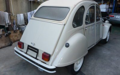 すこし　ばたばた？