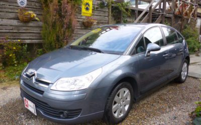 新入庫のお知らせ