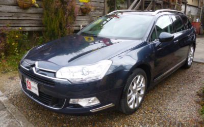 新入庫のお知らせ