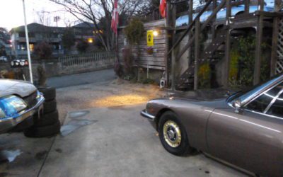 初日です。思うこと