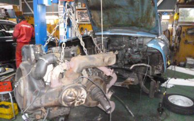 多数ご来店有難うございます。