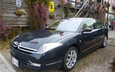 新入庫のお知らせ