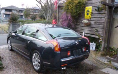 土曜日のお仕事。明日はお休みです。