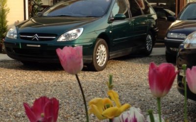 レストアは先進国？