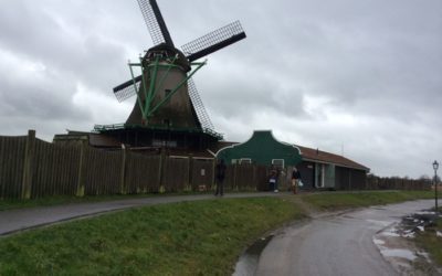 明日から　オランダ出張です