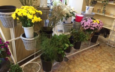 私が友人に出来ること