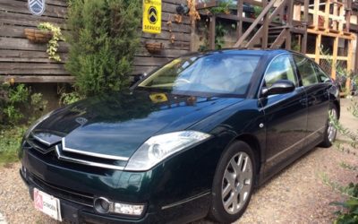 新入庫のお知らせ