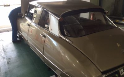 DS21ie の国内新規検査