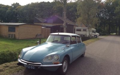 DSでスペシャルショップに