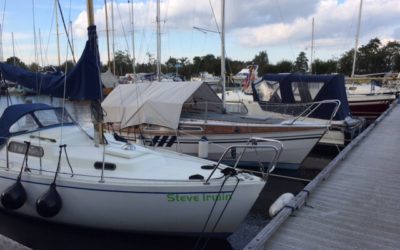 オランダの人のDNA