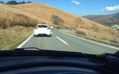 フレンチブルーM