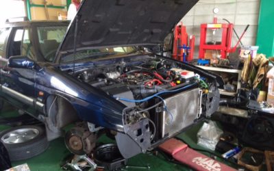 ワクワクのお仕事