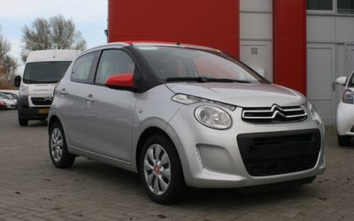 とっても可愛い C 1のご紹介